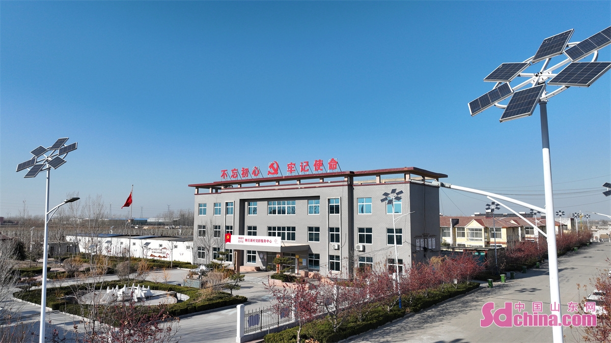 山东聊城乡村风景,聊城美丽乡村绿化石材