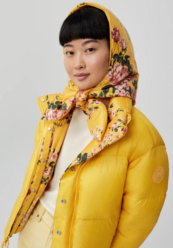 加拿大鹅到底有多受欢迎,加拿大鹅有多受欢迎