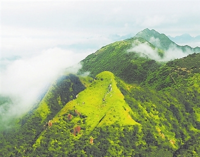 中国国际中医药论坛暨广东省第三届南药产业大会　旅游推动中医药文化传承