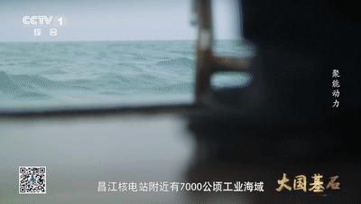 大国基石火箭军,大国基石强国之翼