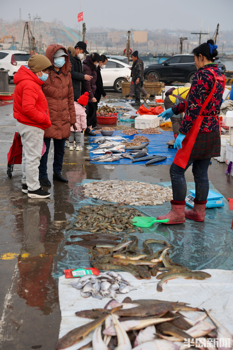 渔船海鲜早市,海鲜市场中国渔船