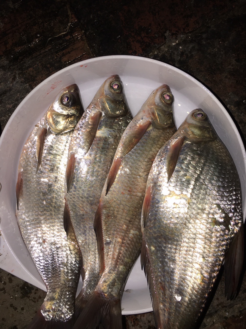 新手必学全套主线绑法,新手大礼包链接