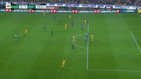 帕丘卡vs老虎大学,老虎大学vs帕丘卡预测