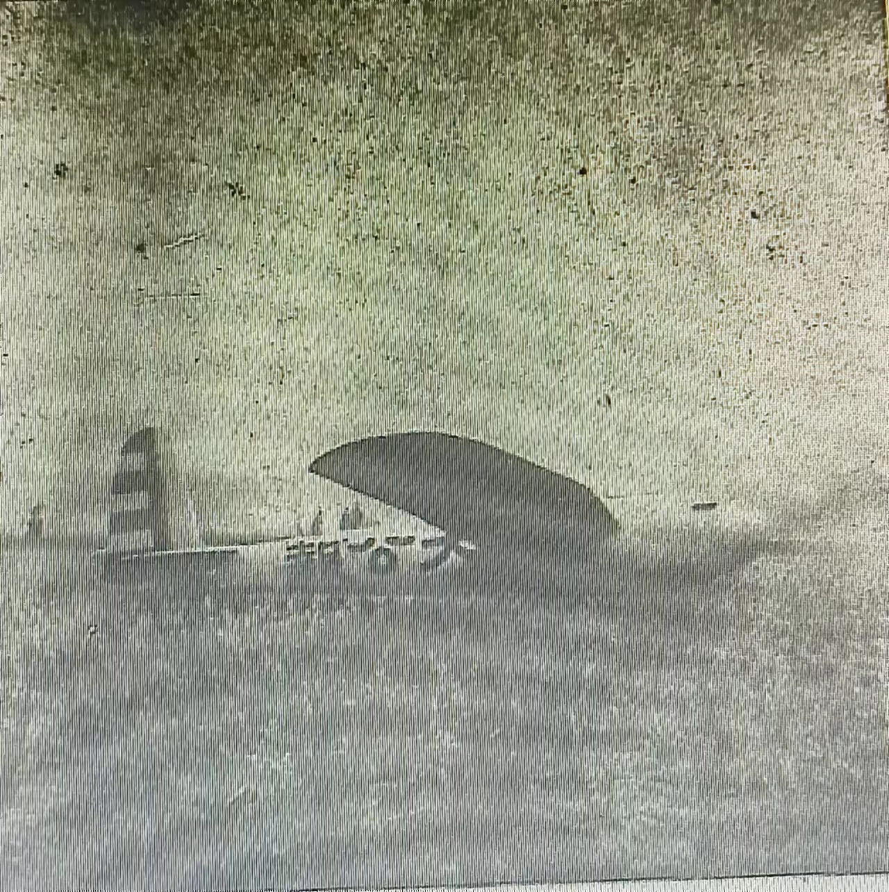 【奔流文化·闲谭】高空滑翔、公路自行车赛……80多年前的兰州如此“拉风”!