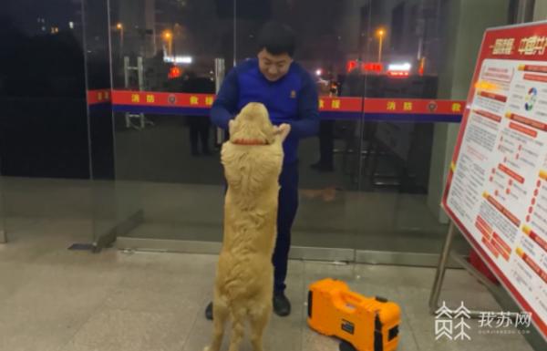 小金毛走丢找警察,小金毛闯进消防队
