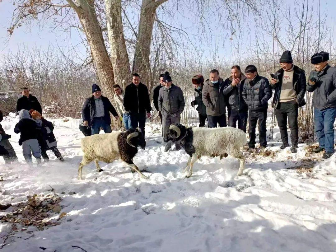 第九届全国大众冰雪季开幕式,温宿冰雪节