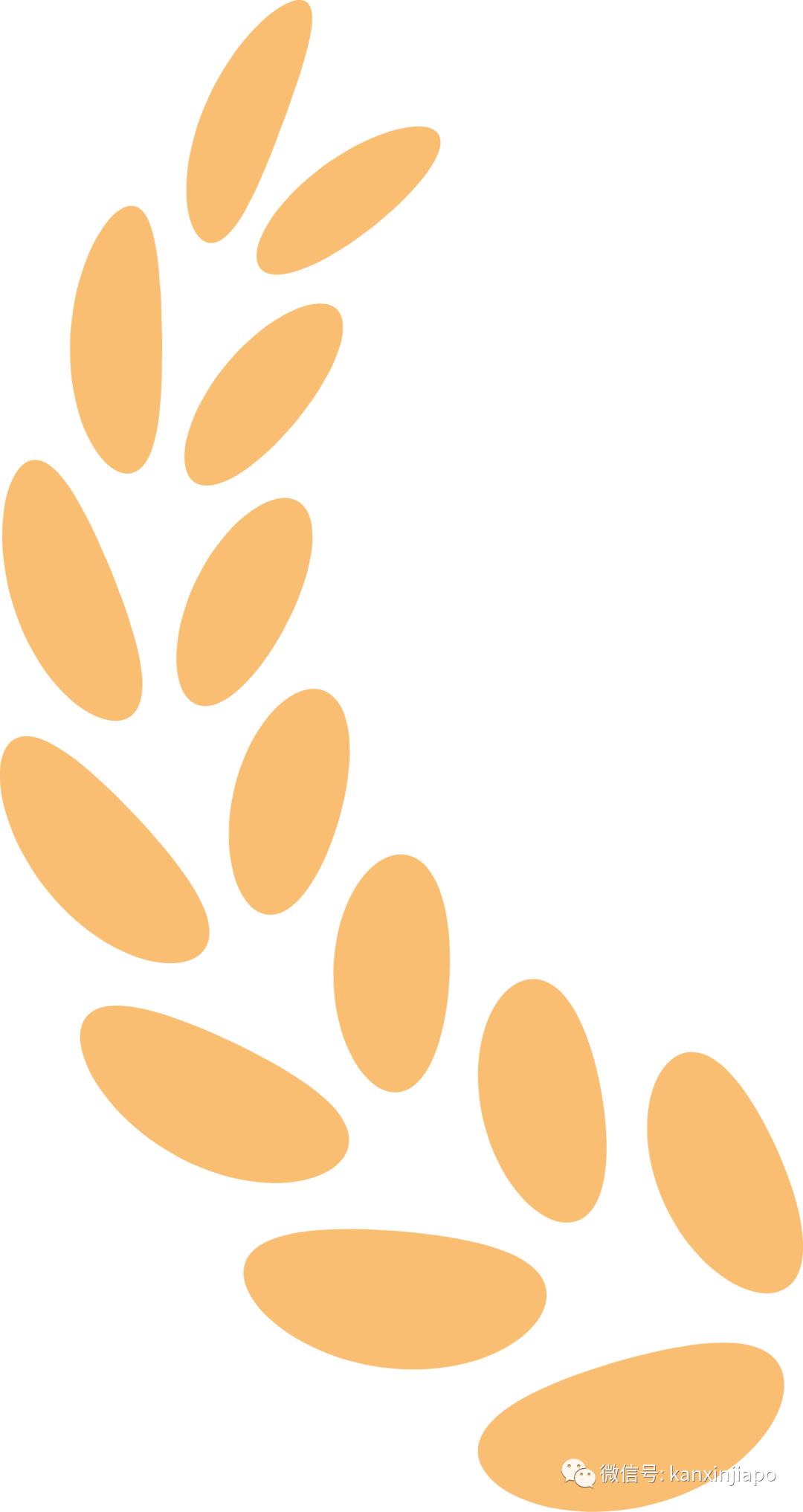 疯抢一张15万的机票飞往中国,8月份新加坡飞中国机票