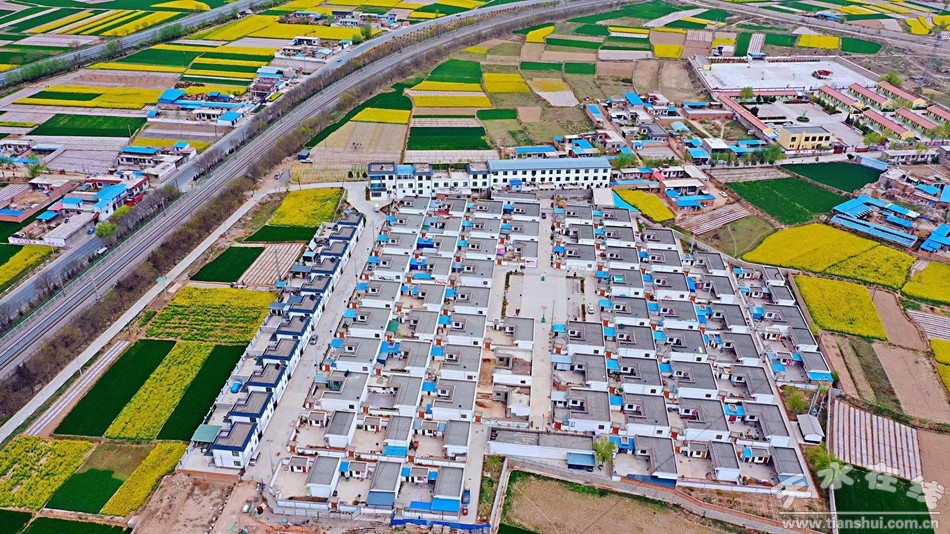 武山县重点工作会议,武山县乡村振兴四个一批