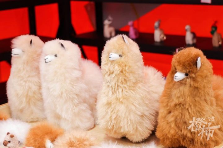 在武林路遇到泰国万金油，爱上英国海藻，进博会市集“有点东西”