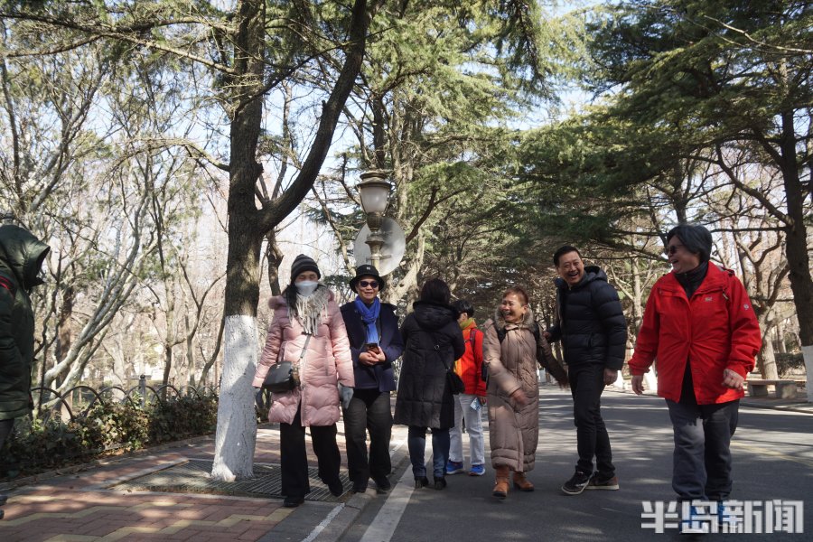 青岛超美的地方,青岛美不胜收完整视频