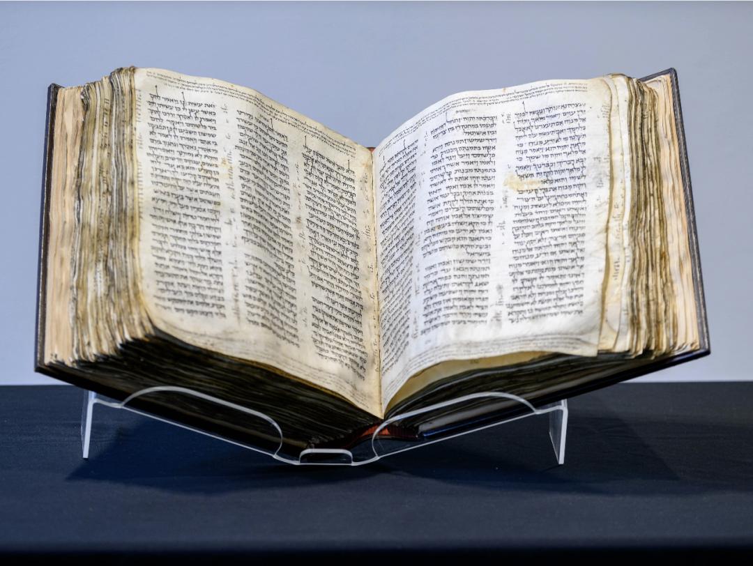 维米尔画展,荷兰维米尔展