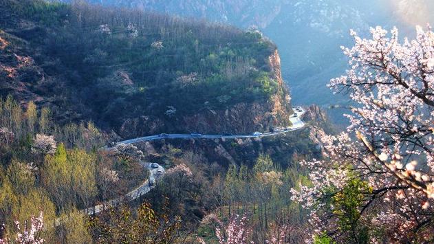 郑州最全的春季赏花地图来啦,郑州最全春季赏花地图