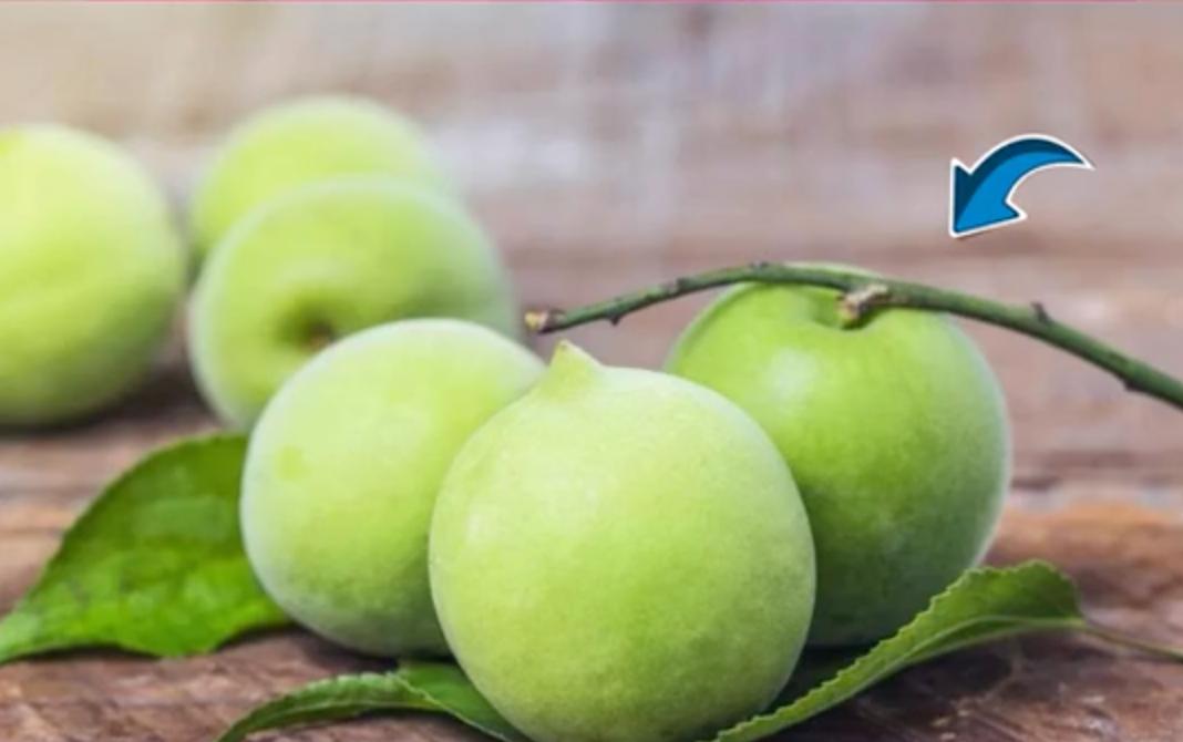 梅子酱盘点全网最火的乌梅子酱,爆火的乌梅子酱是什么味道