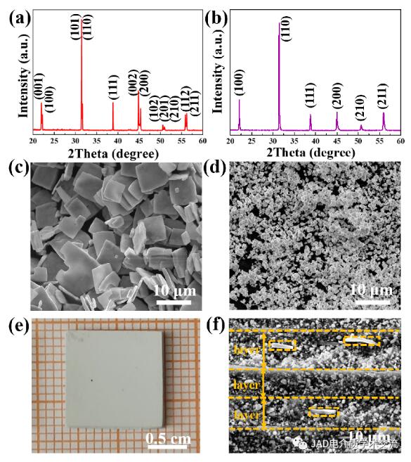 3DF打印助力温州医科大温州医科大学附属第一医院周浩团队完成一例复杂高危的冠脉CTO手术