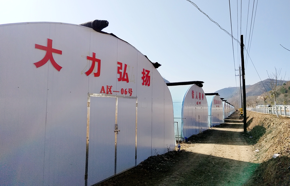 清水村经济产业发展,清水县的乡村振兴成就