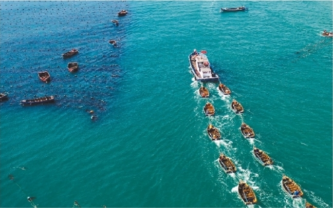 向海图强做优做强做大海洋经济,大连海洋强市建设新篇章