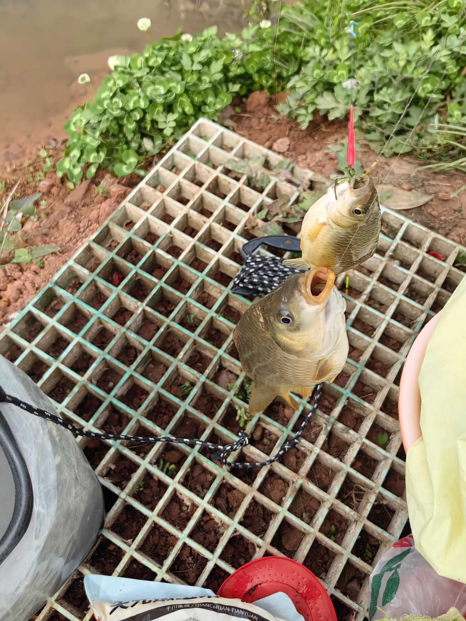 致敬所有女钓友们,祝我们永不空军!