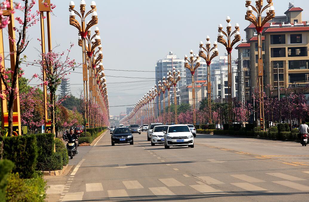 云南禄丰:绿美城市唱响“幸福歌”