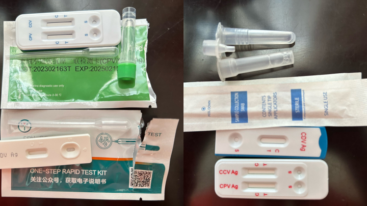 宠物线上代购主播背后的圈套：谁演得好谁就赚得多