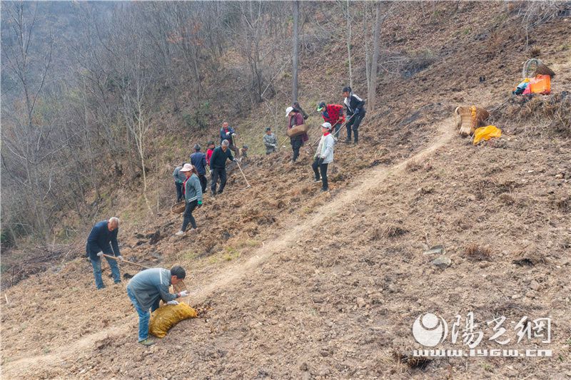 陕西镇坪联盟村,镇坪县联合村家庭种植农场