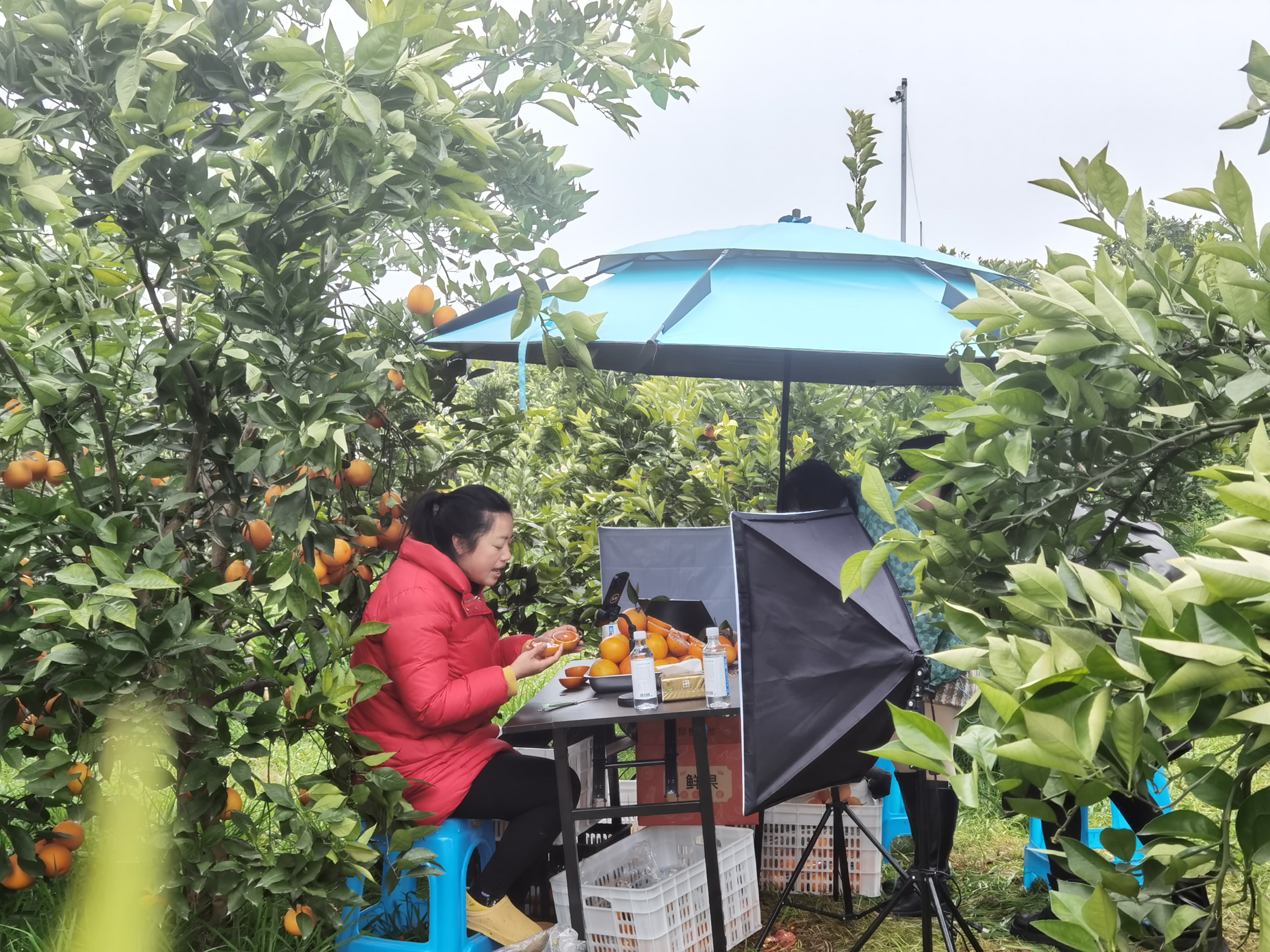 七一观察｜“直播”新重庆