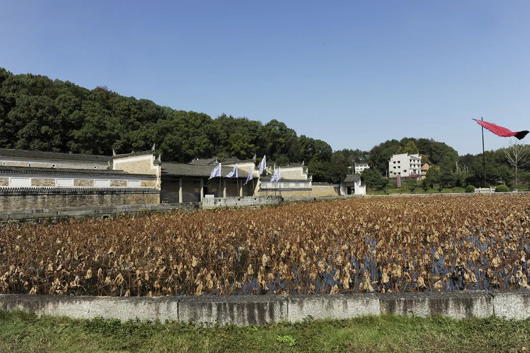 星辰文艺|转益多师是吾师——关于湖湘宗祠文化的讨论