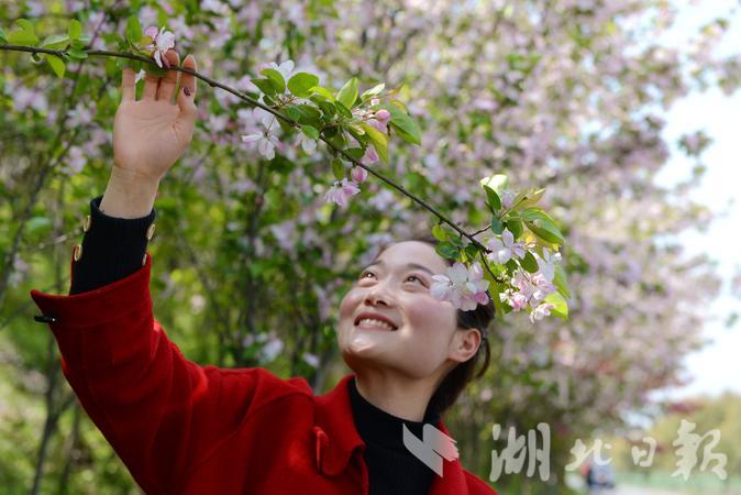 春风春雨春花盛开,春风莺飞草长陌上花开
