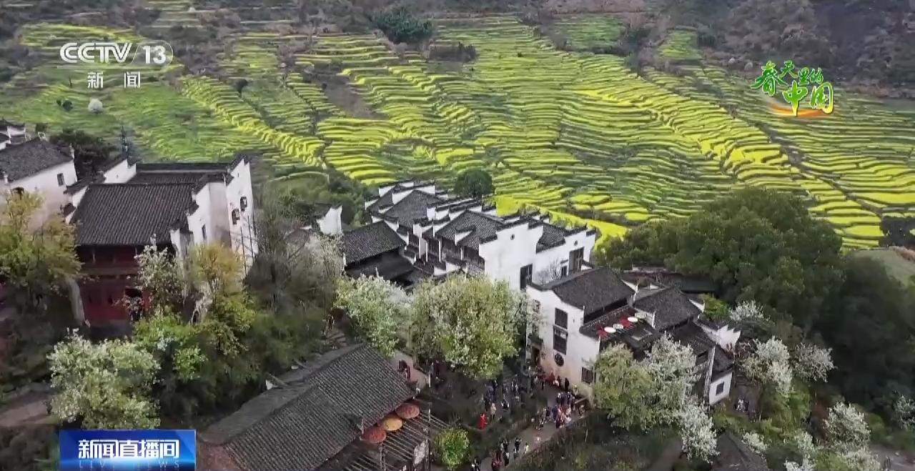 婺源人间仙境美如画,江西婺源云雾缭绕人间仙境