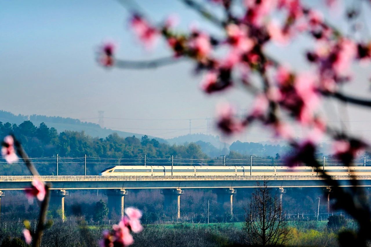安吉门票,安吉门票预约