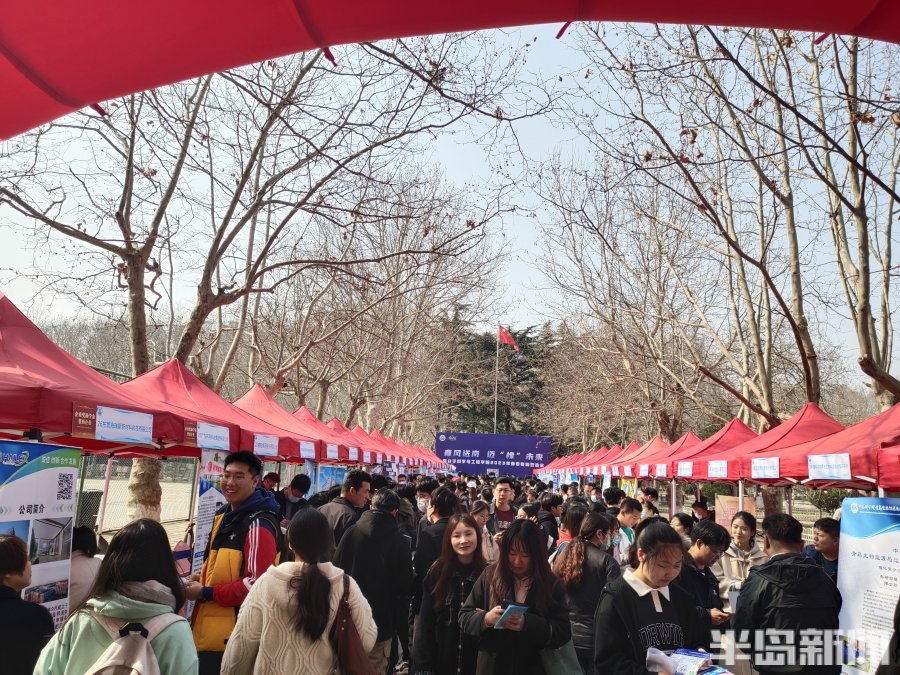 鍗婂矝瑙傚療闈掑矝,鍗婂矝瑙傚療