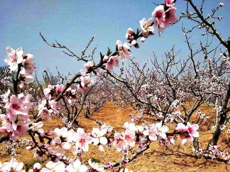 古诗长相思诗句,长相思两首诗词