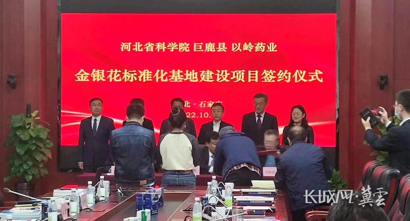 河北新河土特产铺就振兴路,打造中国式现代化河北场景