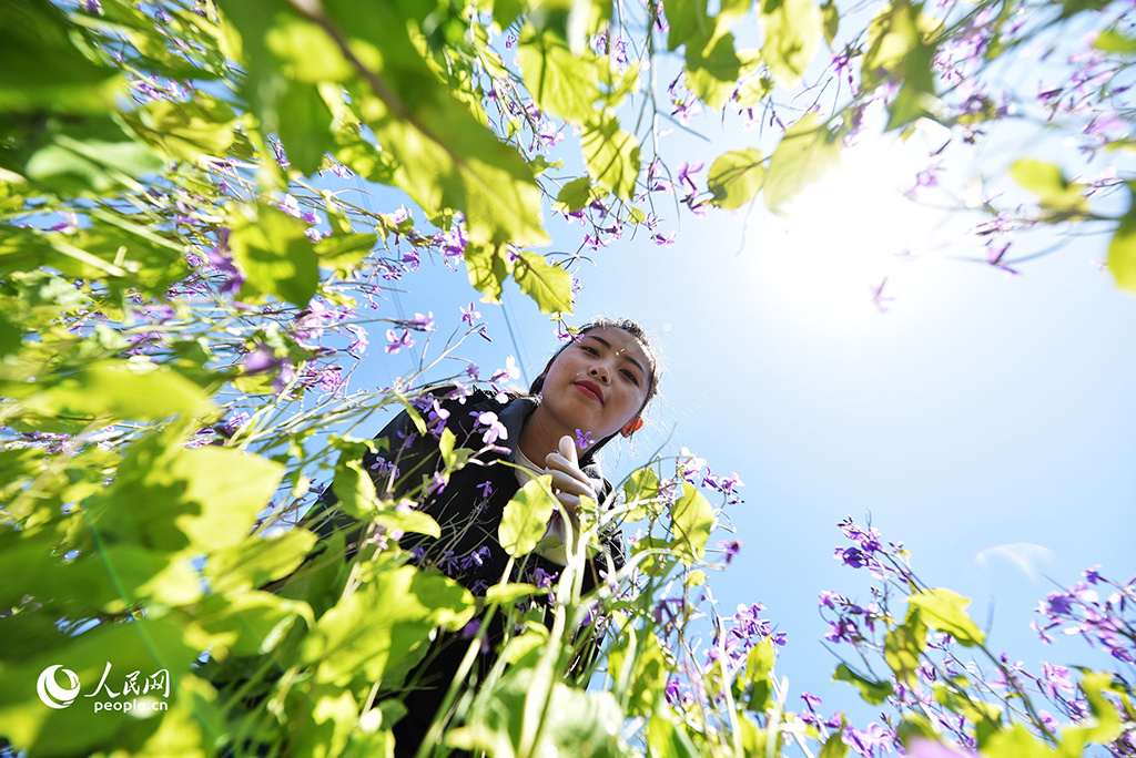 春天花“卉”开朵朵含情迎客来