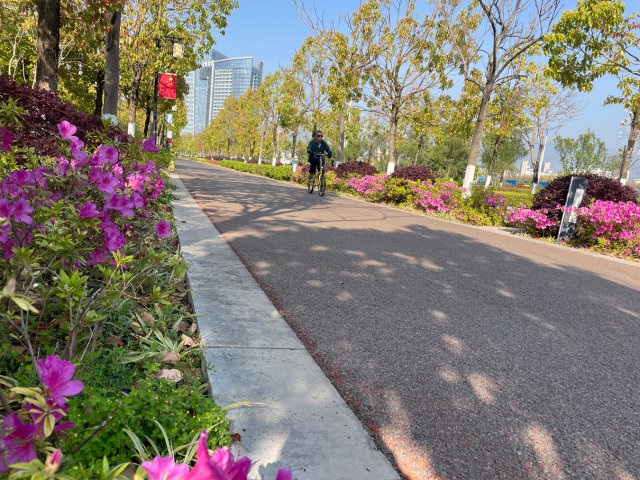 有一种叫云南的生活|云南的“宝藏绿化带”里可不只有迷迭香!