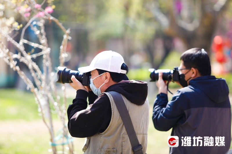 潍坊金宝乐园风景图片,潍坊金宝乐园游览图片大全