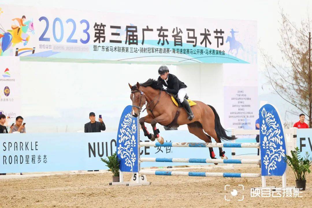 第三届广东省马术节获奖名单,第三届广东省马术比赛