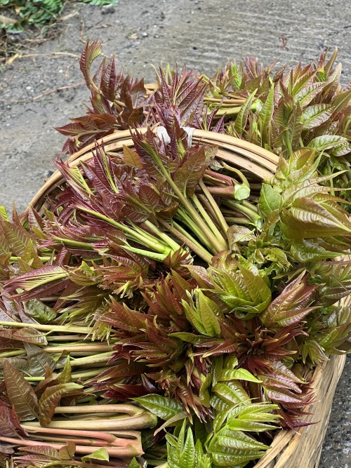 农村小伙回农村创业做农产品电商,小伙子返乡创业帮农民卖出农产品