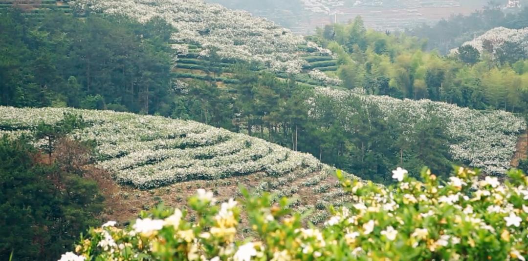 奋力谱写新时代宁德篇章,宁德经济腾飞