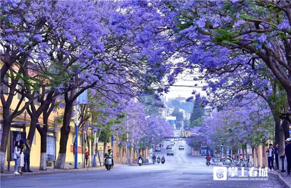 昆明五一哪里好玩的地方推荐一下,五一去哪玩便宜又实惠昆明周围