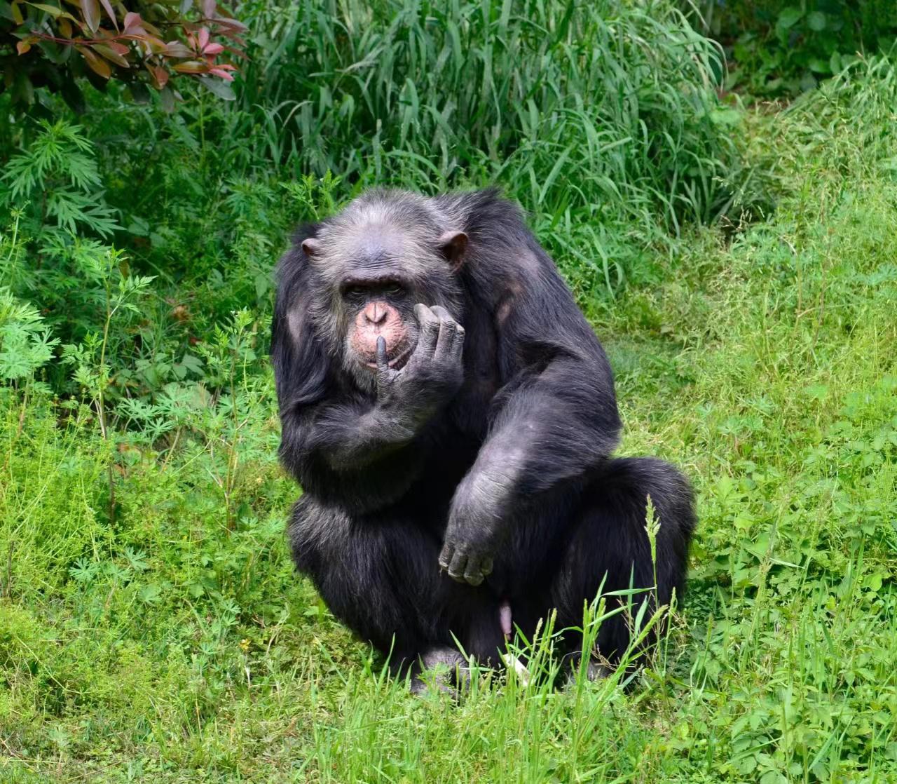 长沙网红必去的景点,网红景区推荐长沙