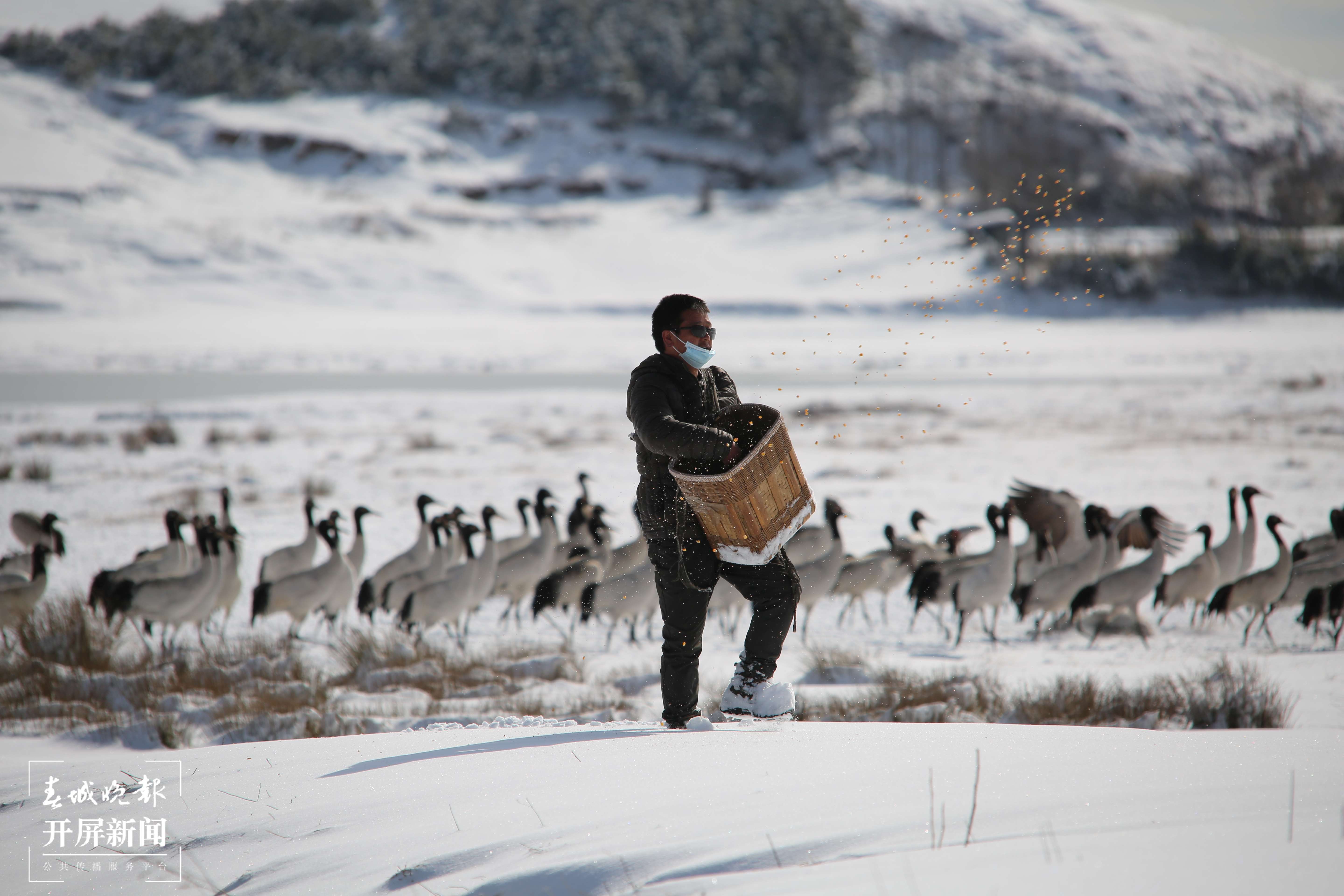 云南昭通有什么风情,云南昭通生活视频