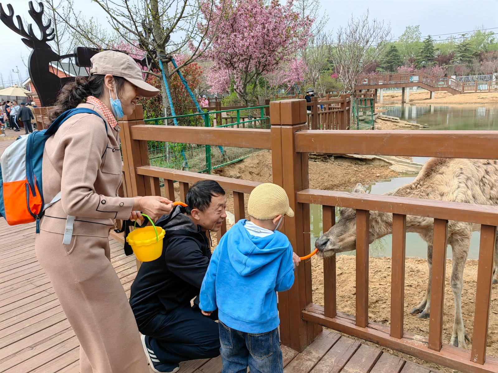 日照旅游住宿民宿推荐,日照民宿酒店推荐