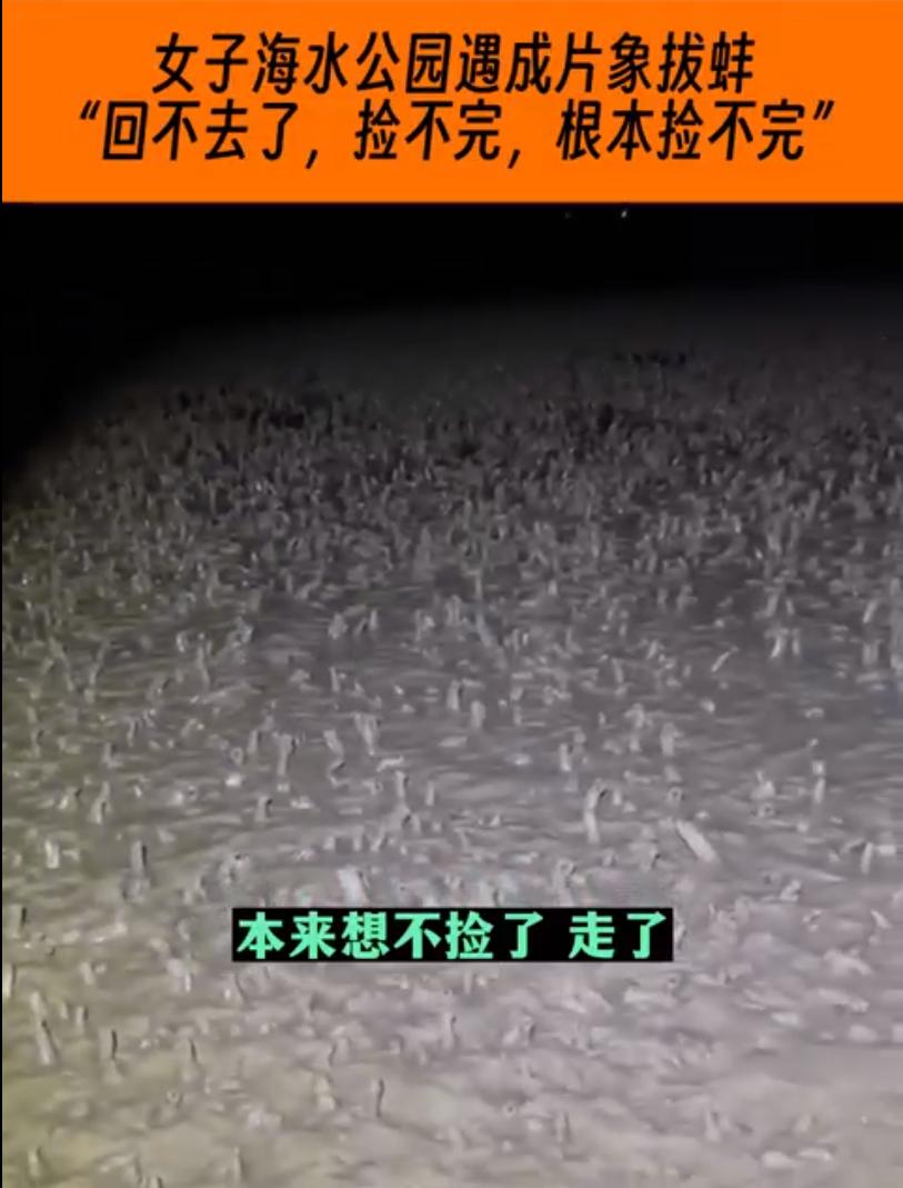 娣辨柊鏃╃偣,娣卞湷娣辨柊鏃╃偣