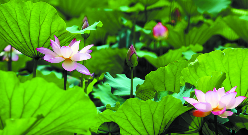 今年是第多少个世界知识产权日,第22个世界知识产权日