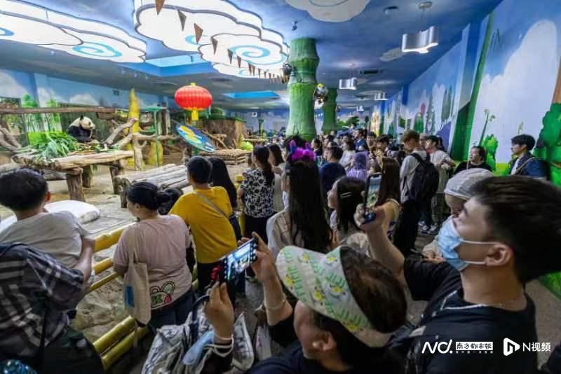 今年五一广东各沙滩游客多吗,广东五一假期有什么地方可以去玩