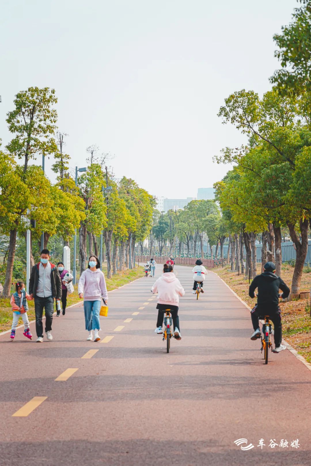 骑车打卡绿道,东湖绿道骑行享受闲暇时光