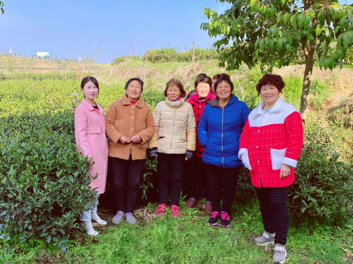 致敬劳动者┃情系南阳家乡的青年创业者谢欣:通过一方茶园助力乡村振兴