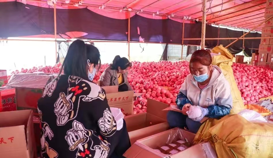 三十年在长三角成就了西北苹果的传奇——蔡二成和他的雪原牌苹果