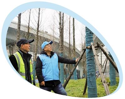 口袋公园建设要倾听民意,口袋公园建设管理水平仍需提升