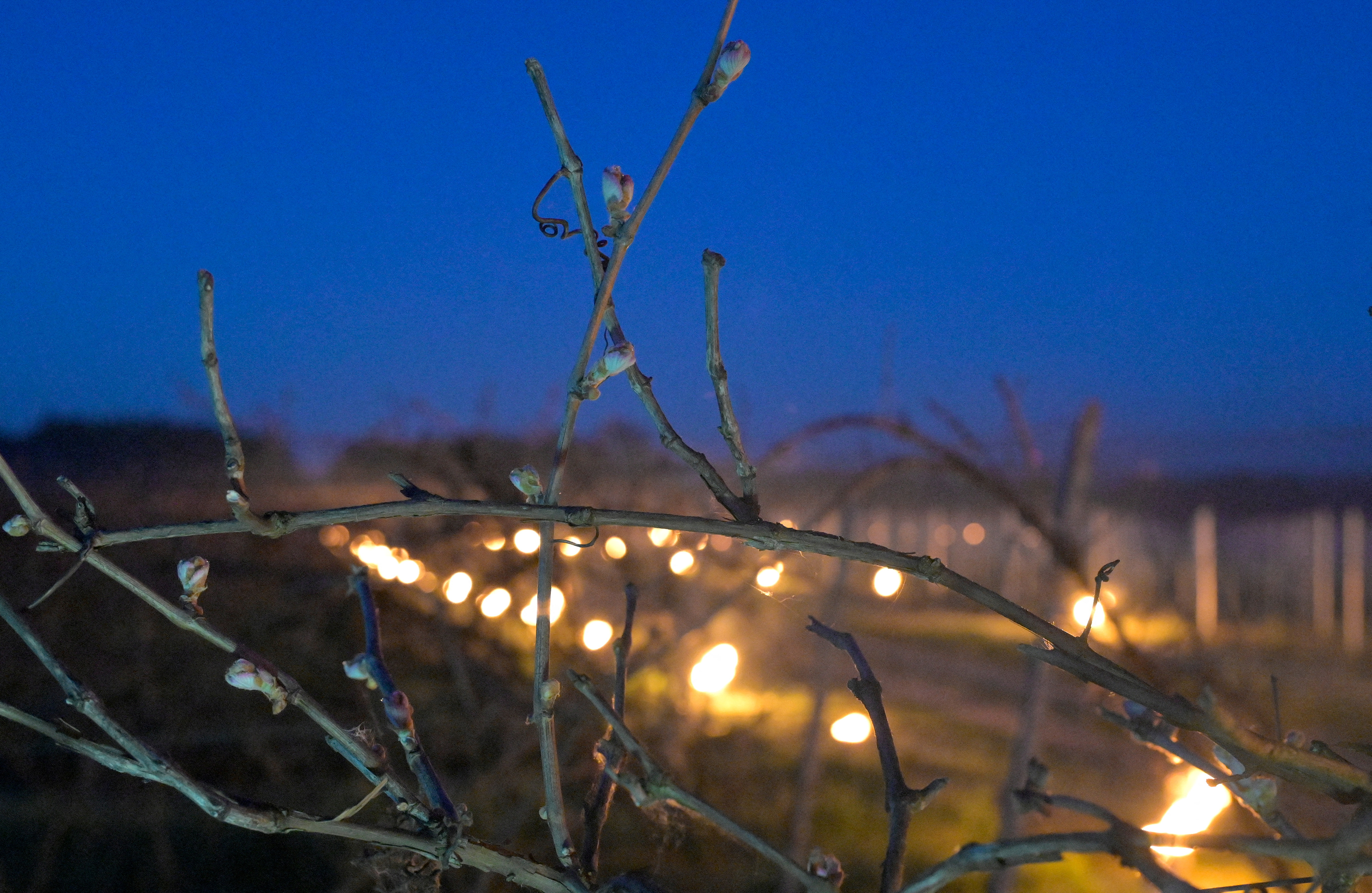 外代一线维也纳,外代一线西班牙